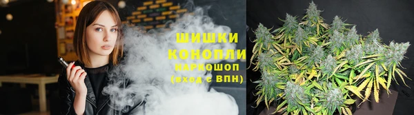шишки Няндома