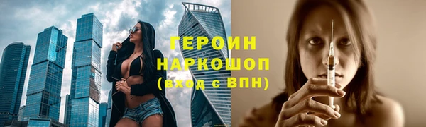 шишки Няндома