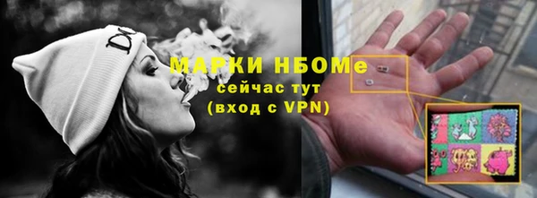 шишки Няндома