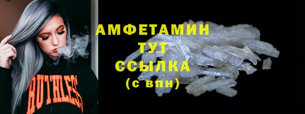 шишки Няндома