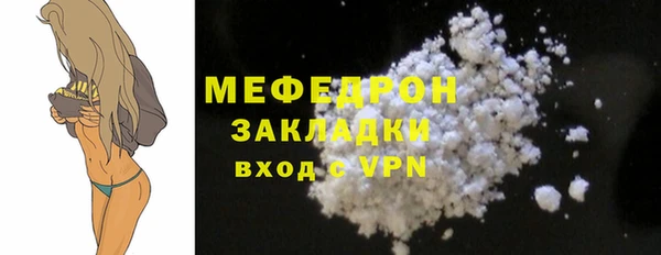 шишки Няндома