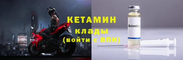 шишки Няндома