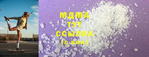 шишки Няндома