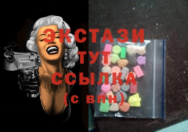 шишки Няндома