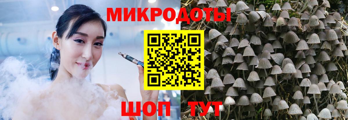 Галлюциногенные грибы мицелий Скопин