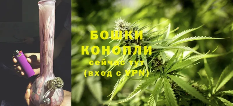 продажа наркотиков  Скопин  ссылка на мегу зеркало  Бошки Шишки THC 21% 