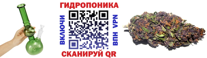 где найти наркотики  Скопин  Конопля сатива 